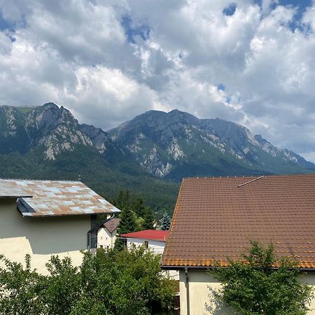 Vila Maris Buşteni Exterior foto